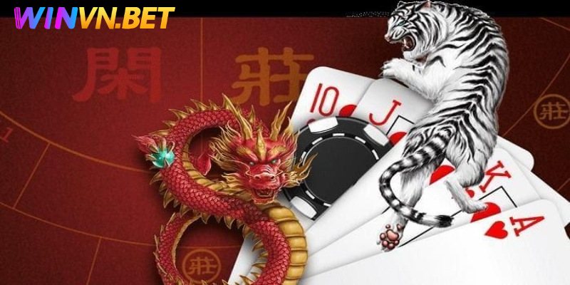 Đôi nét rồng hổ WINVN