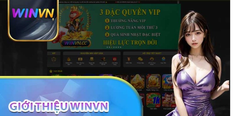 Winvn là nền tảng uy tín được hội viên đánh giá cao
